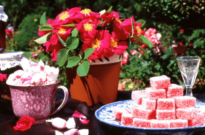 Spécialités à la Rose de Provins