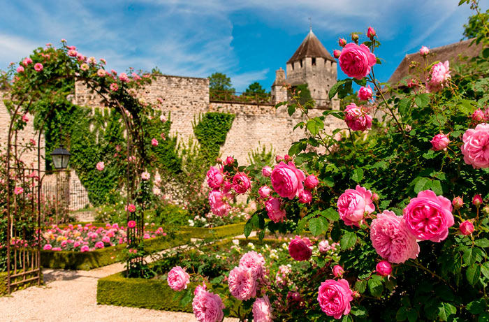 Roseraie Visites de Provins
