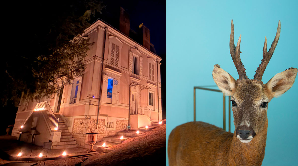 Soirée Maison Stella Cadente Provins